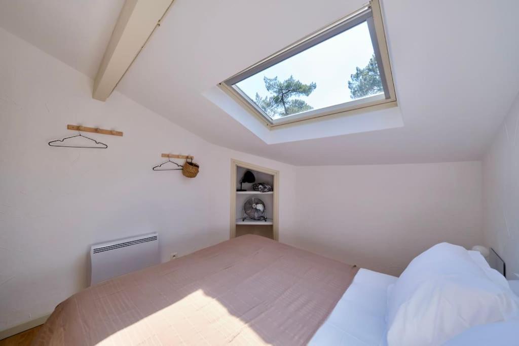 Nid De Line - Hostal Naou - Wifi-Netflix Soorts-Hossegor Exteriér fotografie